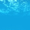 Immersion, Water Ingress & Seal Verification-Image