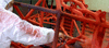 Superior wear with nylon powder coatings-Image