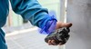 Need A Short-Term Gas Detector Loaner?-Image