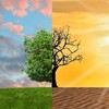 Combined Environment Testing-Image
